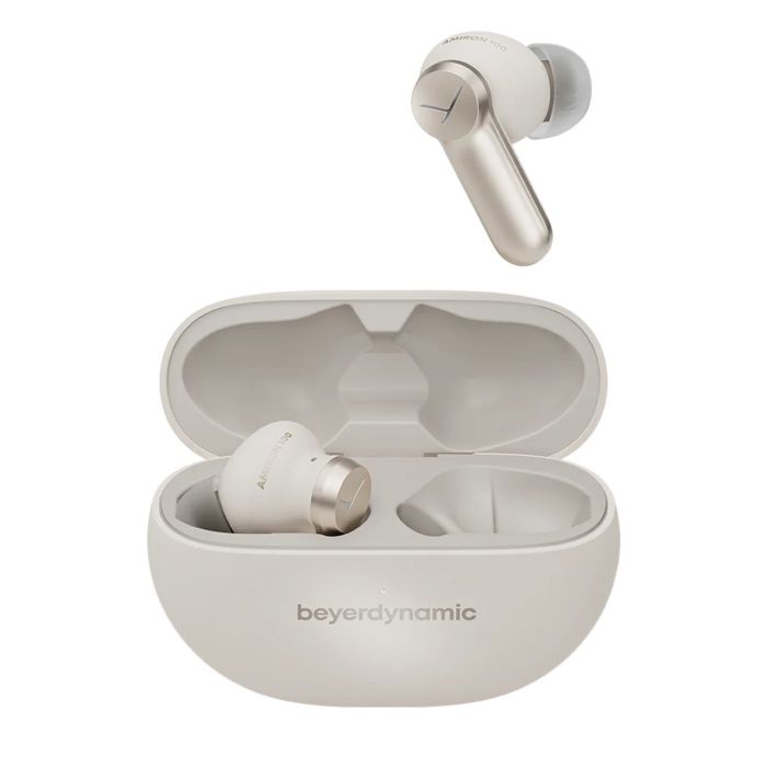 Bederdynamic Amiron 100