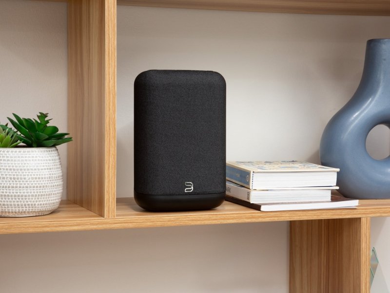 Bluesound Pulse Flex (P130)