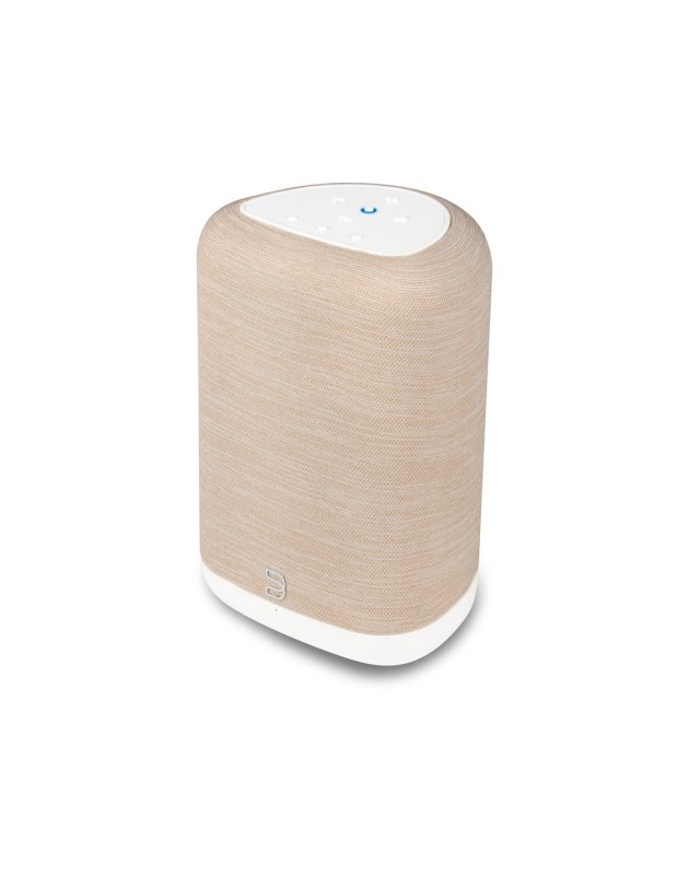 Bluesound Pulse Flex (P130)