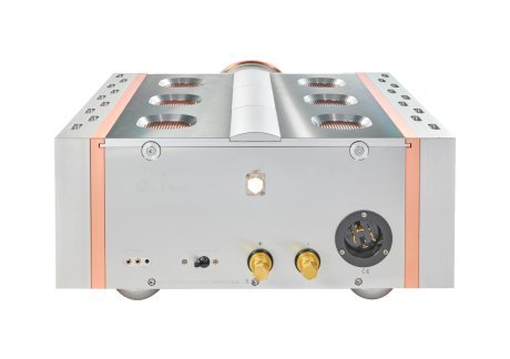 D'Agostino Relentless Epic Mono 800