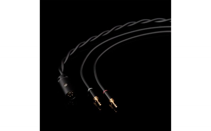 Final Audio Design D8000 DC