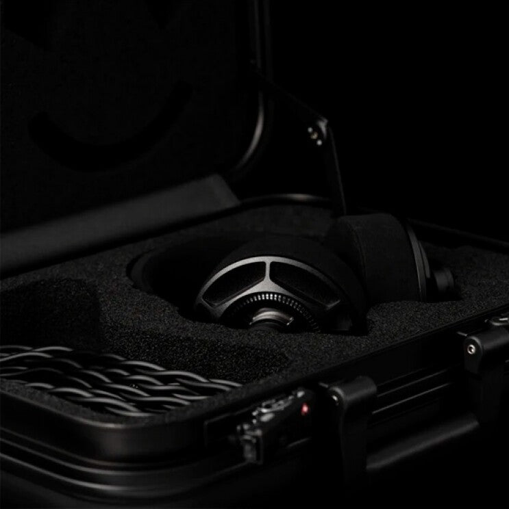 Final Audio Design D8000 DC