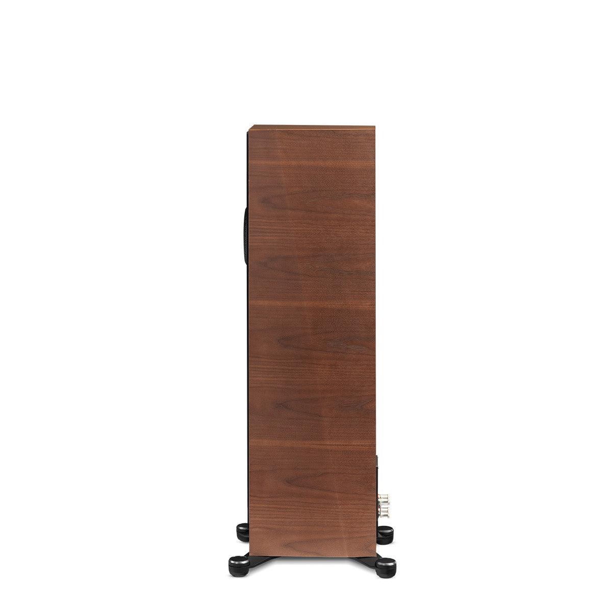 Paradigm Founder 80F
