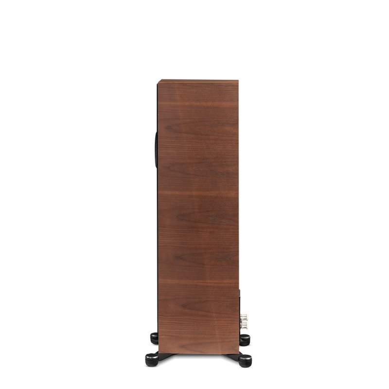 Paradigm Founder 80F