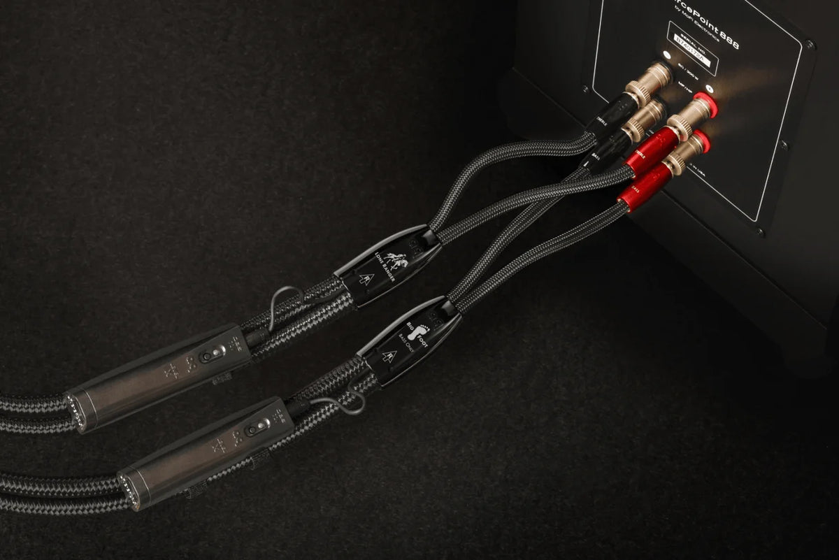 Audioquest Lone Ranger/BigFoot BiWire COMBO