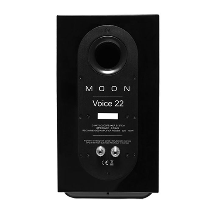 Moon VOICE 22