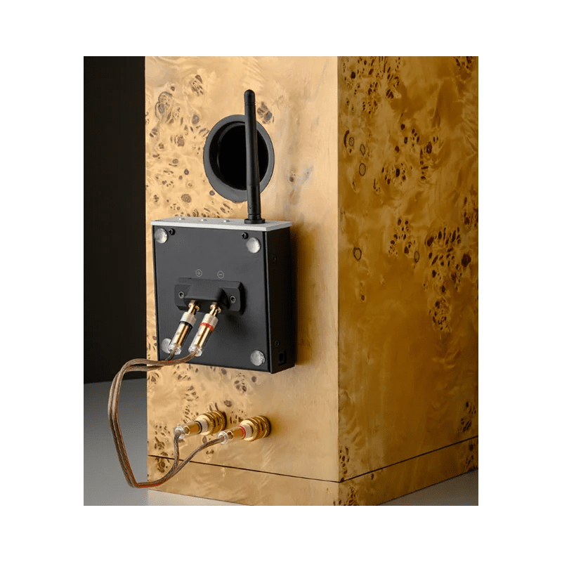 Project Wireless Box E