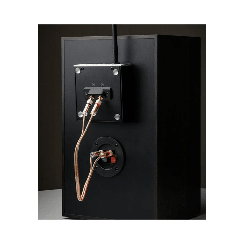 Project Wireless Box E