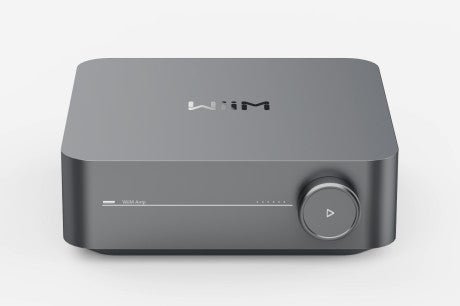 Wiim Amp