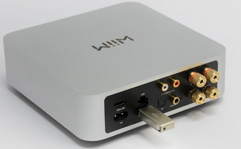 Wiim AMP Pro