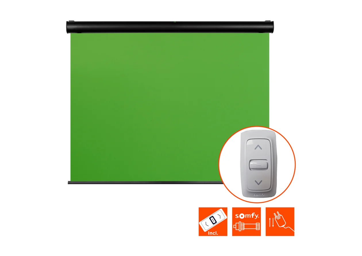 Celexon Pantalla Verde Motorizada