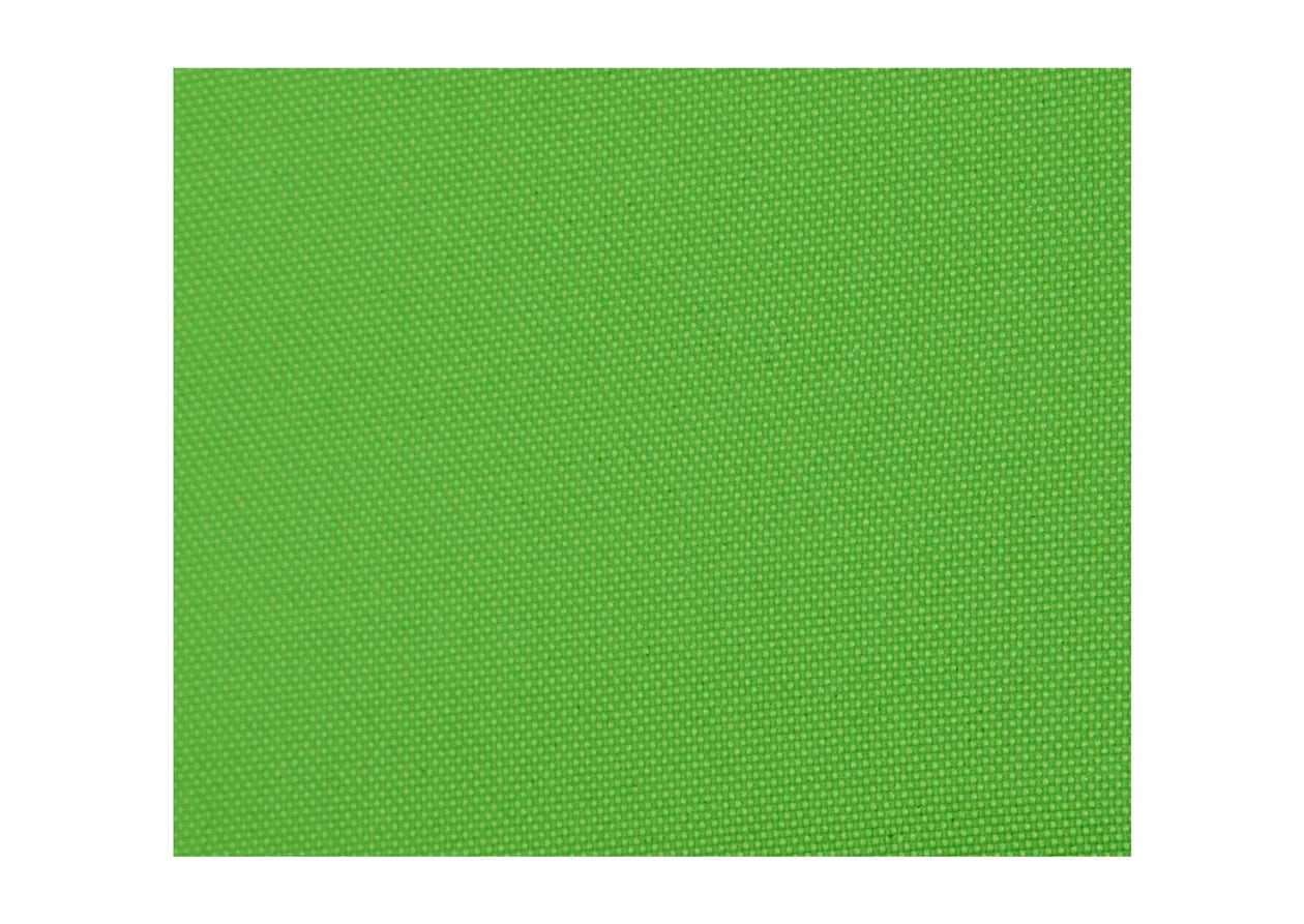 Celexon Pantalla Verde Portátil Chroma Key