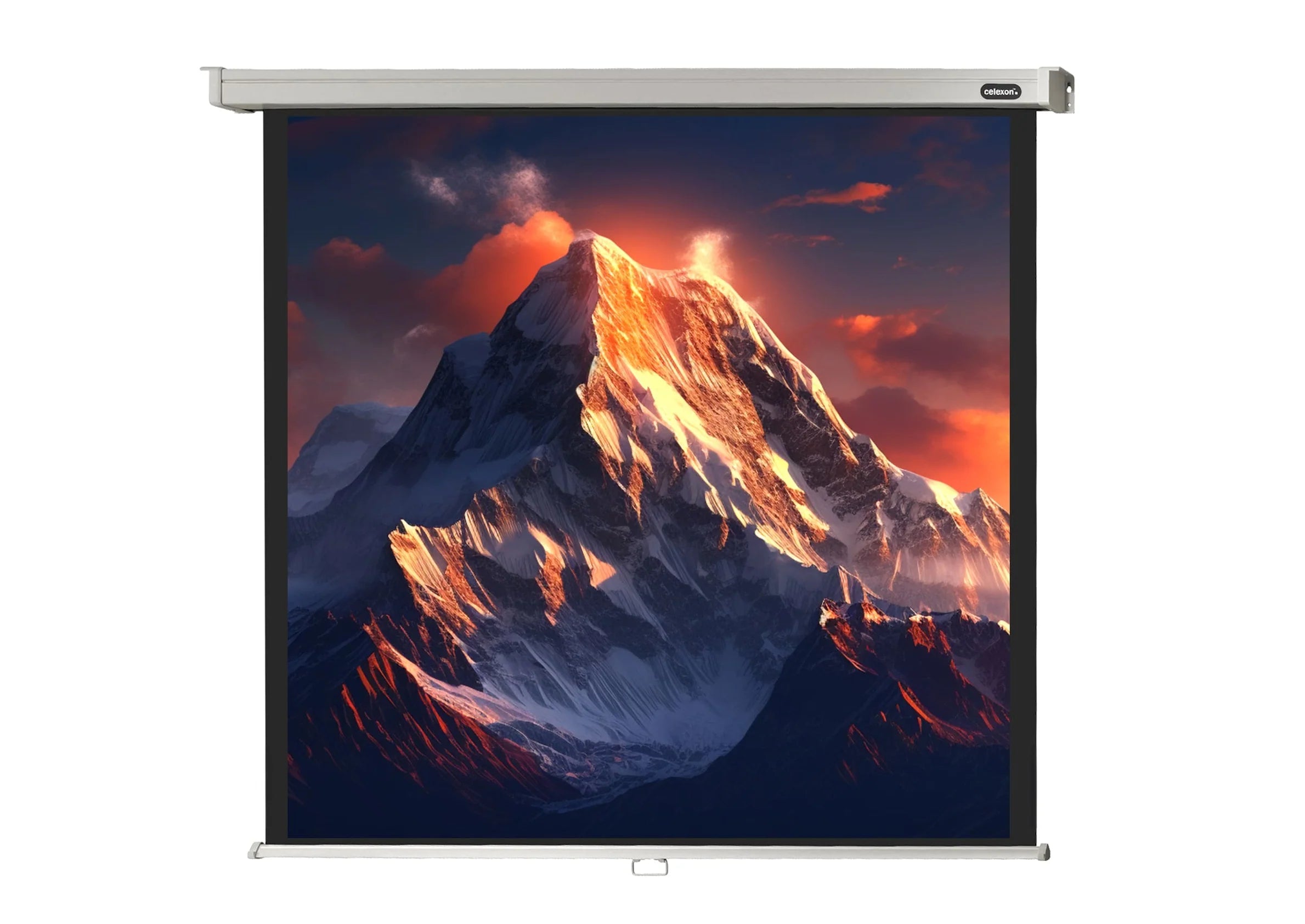 Celexon Pantalla Manual Mural Profesional 1:1