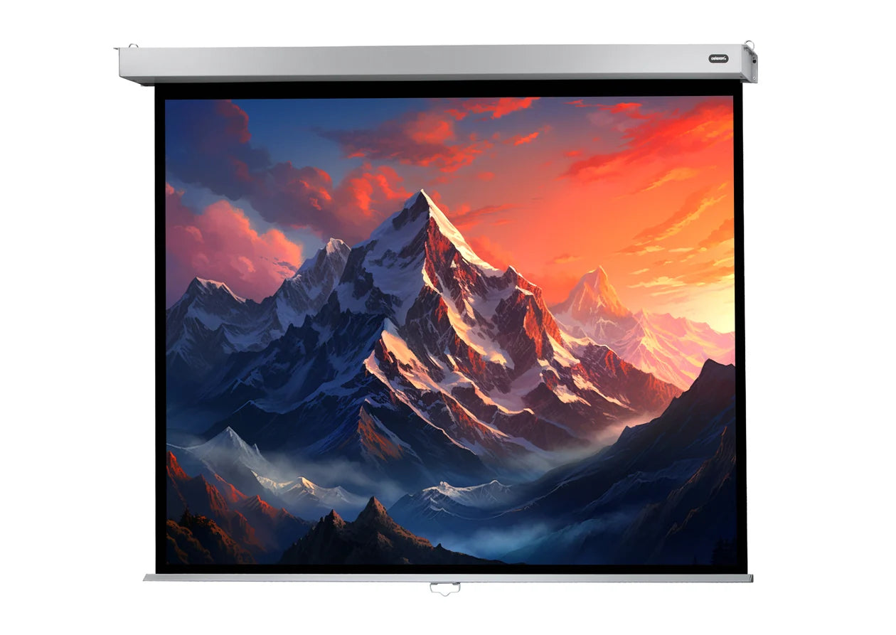 Celexon Pantalla Manual Mural Profesional Plus 16:9