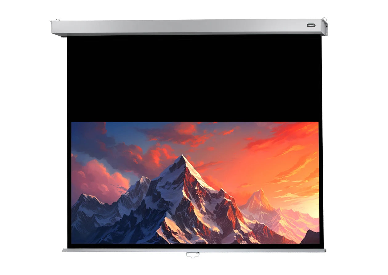 Celexon Pantalla Manual Mural Profesional Plus 16:9