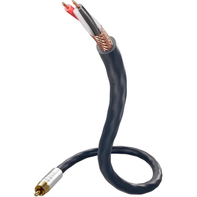 Inakustik S25 Digital RCA