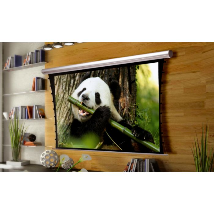 Kauber Blue Label XL Tensioned