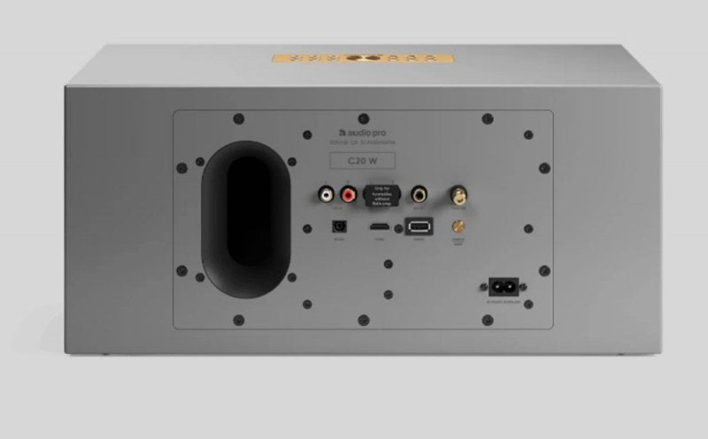 AudioPro C20 W