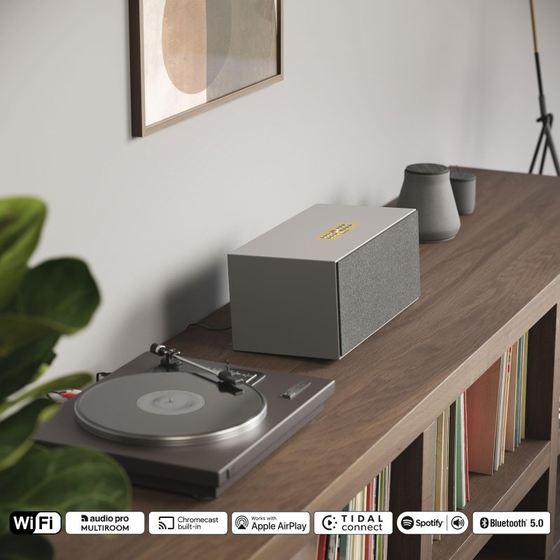 AudioPro C20 W