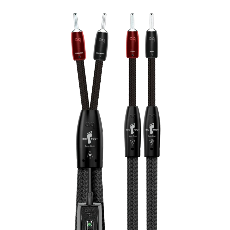 Audioquest BigFoot