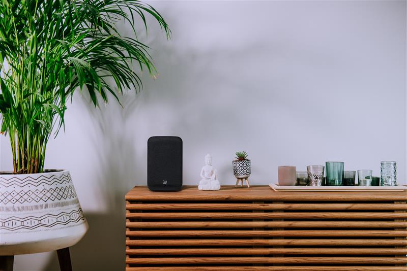 Bluesound Pulse Flex (P130)