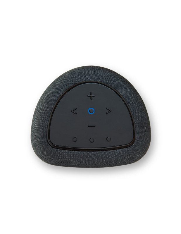 Bluesound Pulse Flex (P130)