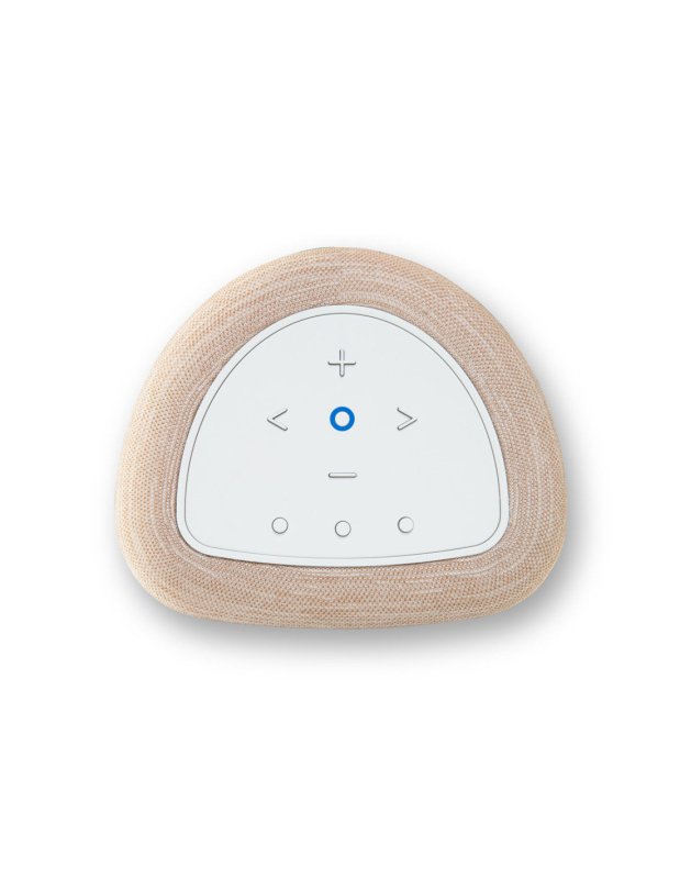 Bluesound Pulse Flex (P130)