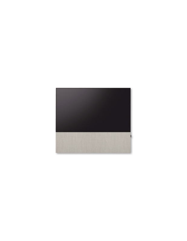 Canvas 65"