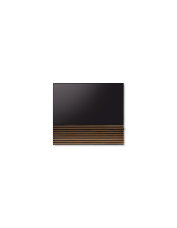 Canvas 65"