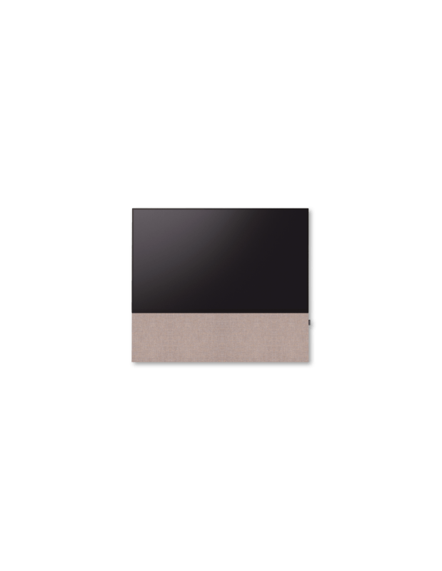 Canvas 65"