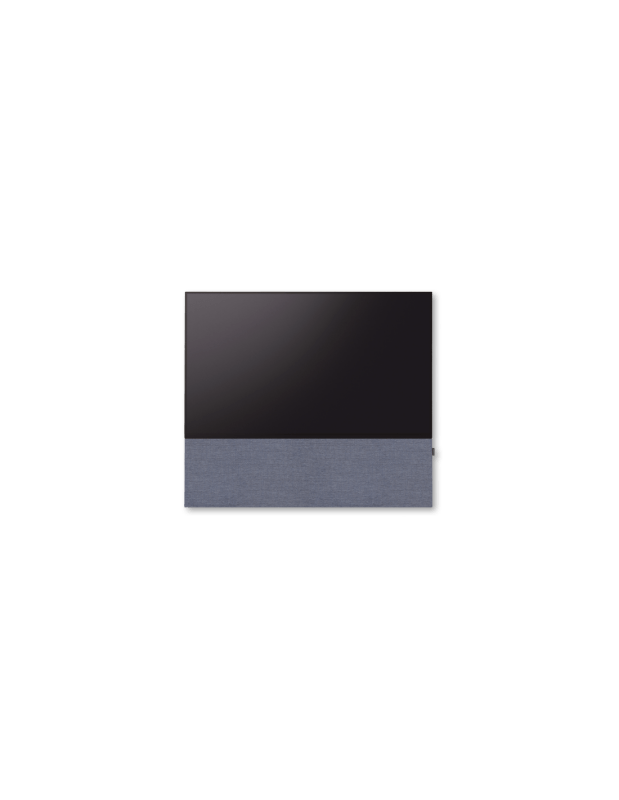 Canvas 65"