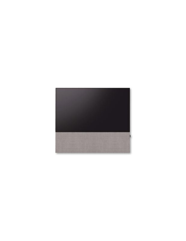 Canvas 65"