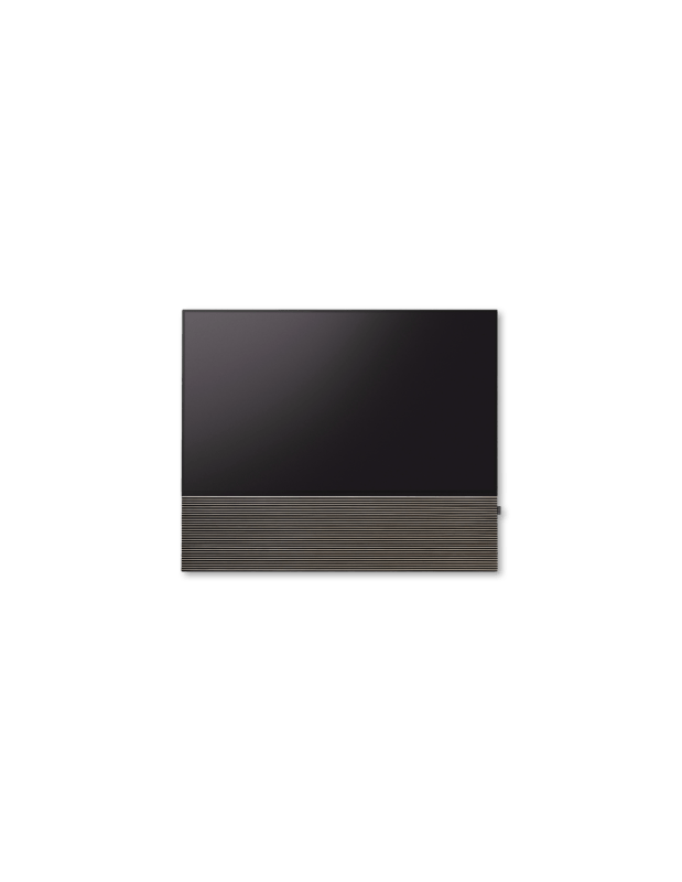 Canvas 65"