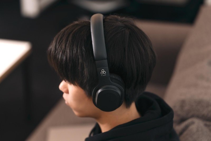Final Audio UX3000 SV