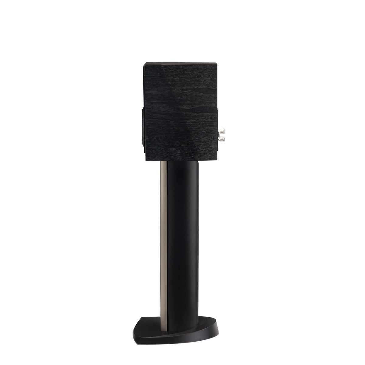 Paradigm Founder 40B