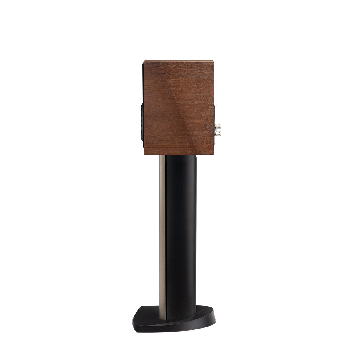 Paradigm Founder 40B