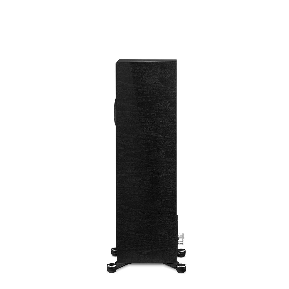 Paradigm Founder 80F