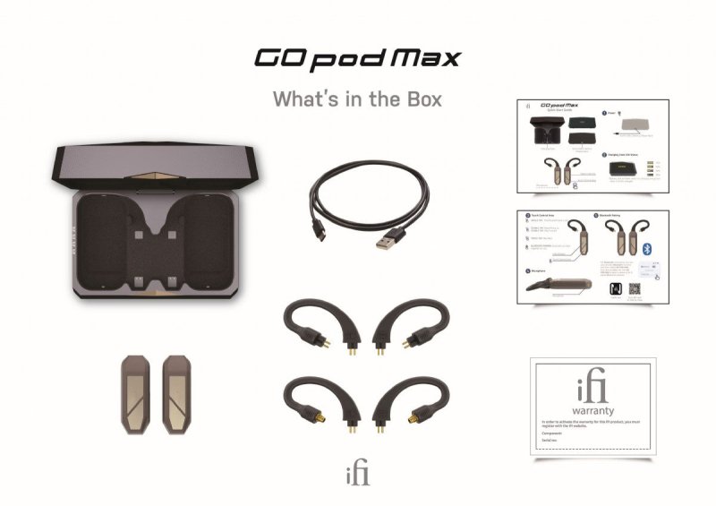 IFI Audio Go Pod Max