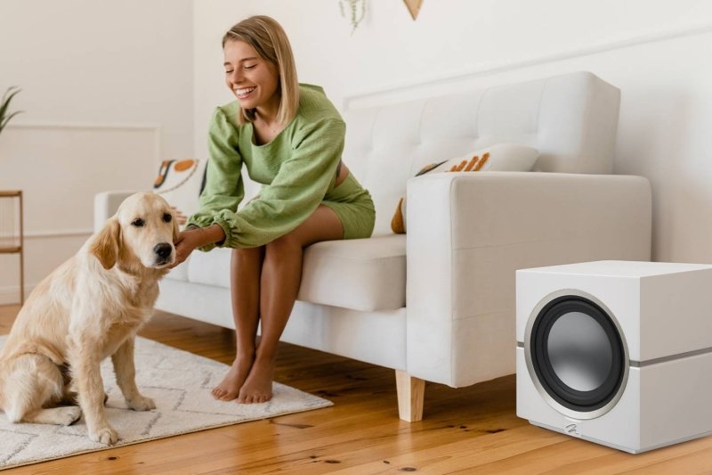 Martin Logan Dynamo 10