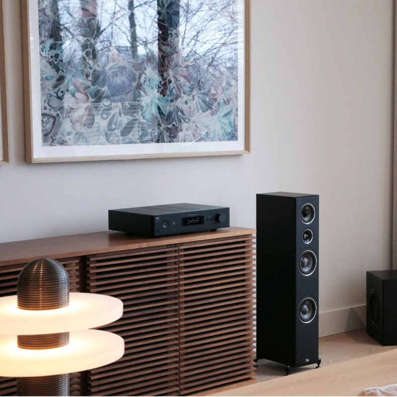 NAD C379