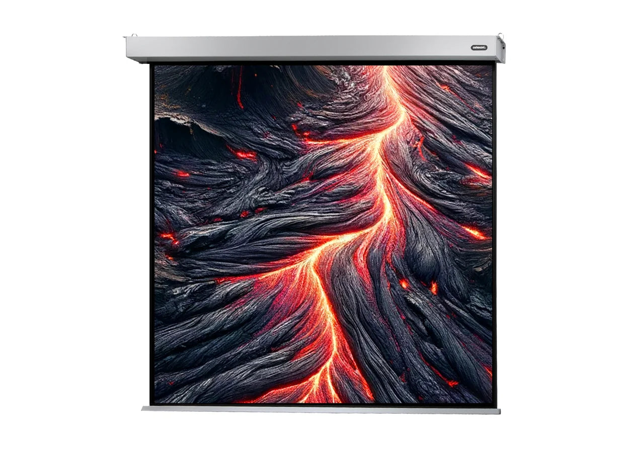 Celexon Pantalla Motorizada Professional Plus 16:10