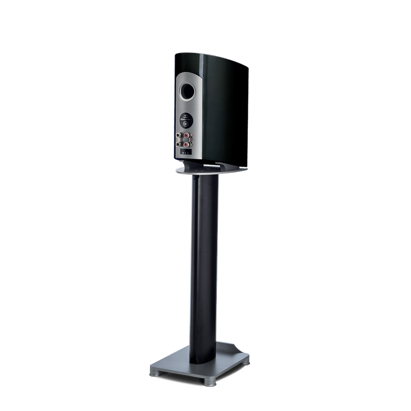 Paradigm Persona B