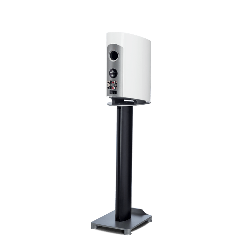 Paradigm Persona B