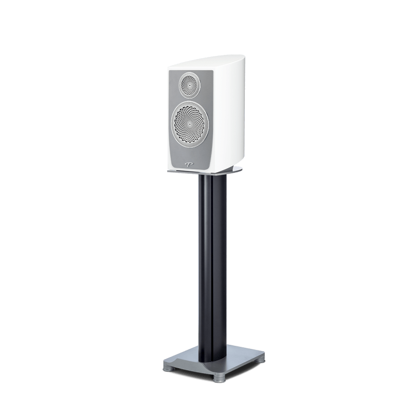 Paradigm Persona B