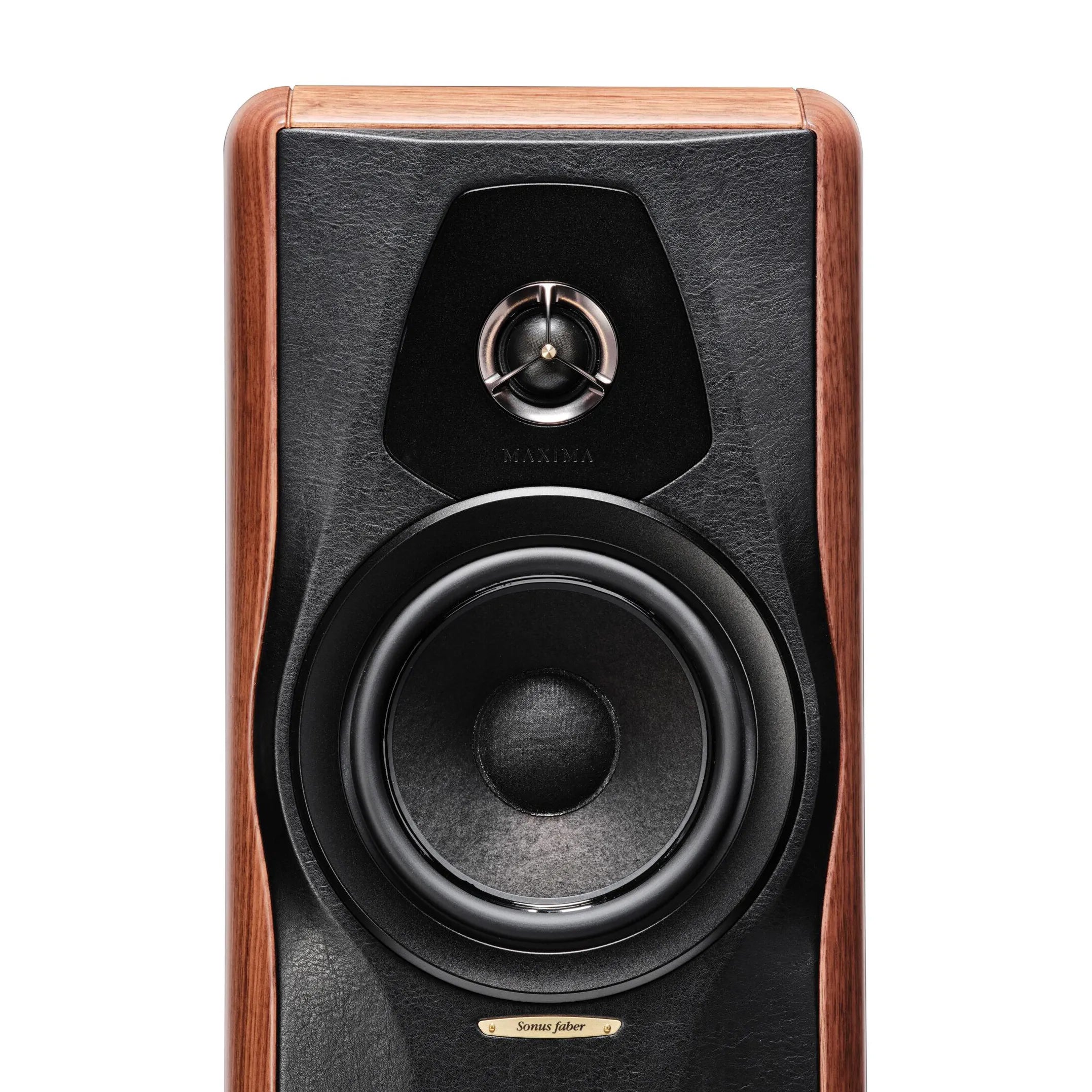 Sonus Faber Maxima Amator