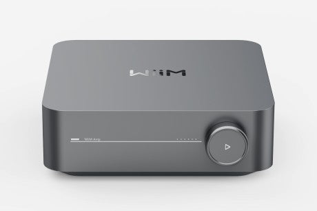 Wiim Amp