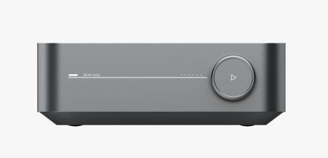Wiim Amp