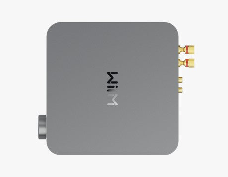 Wiim Amp