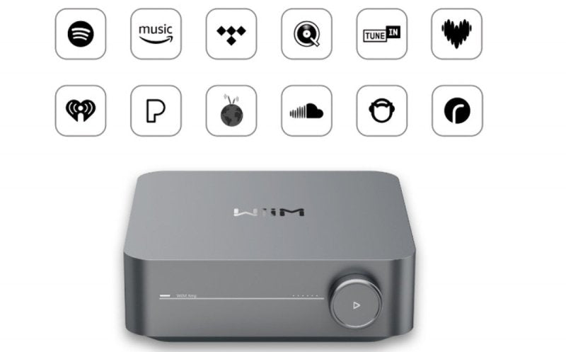 Wiim AMP Pro