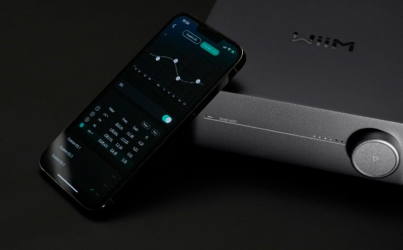 Wiim AMP Pro